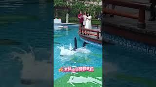 于龙大叔这姿势帅气吗？新剧杀青了！ #于龙怕热  #世界对我温柔以待 #杀青