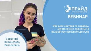 Обо всех сосудах по порядку. Экзотические животные и волшебство венозного доступа