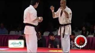 2010 WKO World Kumite Championships Middleweight Fifth Fight Level 2