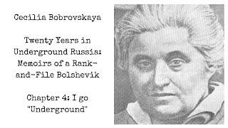 Cecilia Bobrovskaya | Twenty Years in Underground Russia | Chapter 4