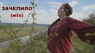 ДОЦЬКА - ЗАЧЕПИЛО (remix) | АРТУР ПИРОЖКОВ-ЗАЦЕПИЛА (пародія)