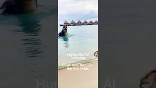 Airbnb glamping Huntsville #glamping #outdoors #fishing#camping #boating #canoeing #pickleball