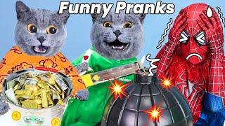 Oscar's LATEST Video Will Shock And Excite You! | Oscar‘s Funny World | New Funny Cat Videos 2023