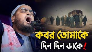 কবর তোমাকে দিন দিন ডাকে বন্ধু || Hafizur Rahman Siddiki Waz 2024