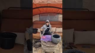 ️Изготовление кашпо на 12л️ #плетение#плетениеизротанга#кашпо#кашпоизротанга#сад#дом#дача#цветы#
