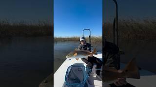 Our next Video….. LOUISIANA BULL REDFISH ‼️#Louisiana #Redfish #travelfishfilm #flyfishing