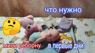 Что нужно мини реборну / в первые дни жизни ????