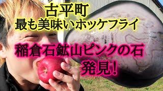 稲倉石鉱山ピンクの石！ホッケフライが美味しい田中商店