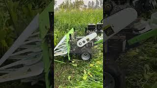 Reaper Machine | Berseem Cutting | Chara Katai Machine | Jawar Cutting | Mini Reaper Machine