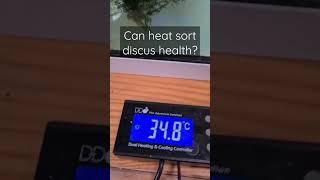 Discus health issues ? Heat can work wonders for some issues but be careful!