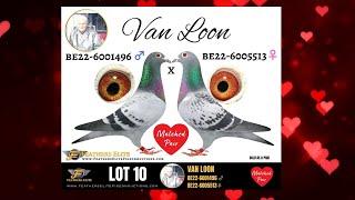 LOT 10 VAN LOON MATCHED PAIR