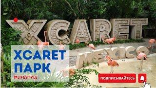 Xcaret — самый впечатляющий парк мира! Культура, природа и невероятные шоу!