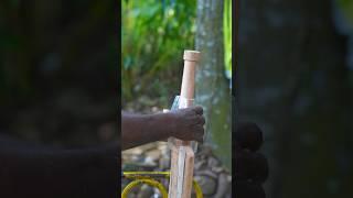 How to make cricket bat #shorts #cricket #foryou