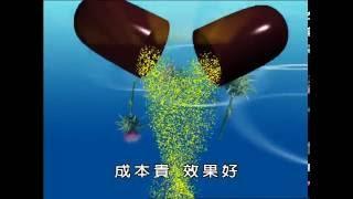 斯斯保肝膠囊｜五洲製藥｜廠長篇 20S