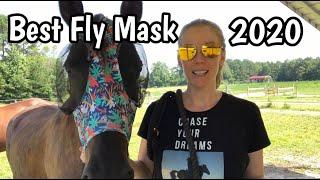 WHAT'S THE BEST FLY MASK OF 2020?