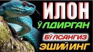 Абдуллох Домла Илон ӯлдирган бӯлсангиз эшитинг2023