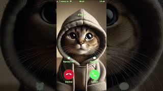 MrCat is calling to YOU! 