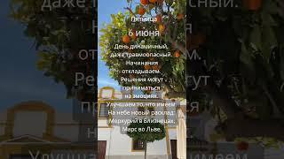 Прогноз на 6 июня #ведическаяастрология #джйотиш #астрология  #прогнознадень #прогноз #гороскоп