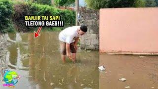 Unik Dan Aneh Dunia - Terjadi Hujan dan Banjir K0T0R4N SAPI di Bandung!! Warga Bingung Dari Mana...