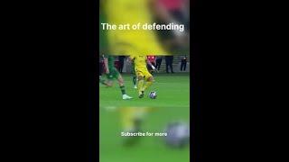 Unleash the Defender Within!