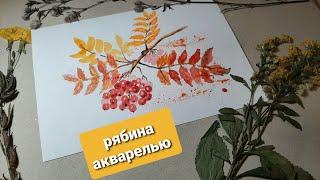 Рябина акварелью.  Осенние рисунки.  Уроки рисования для новичков