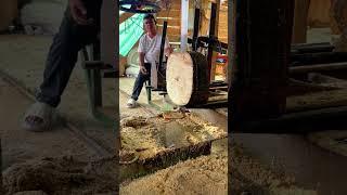 Cutting Massive Logs into Butcher Blocks | Powerful Saw Machine at Work! #shorts