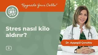 Stres nasıl kilo aldırır? | Dr. Ayşegül Çoruhlu