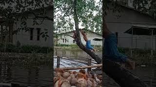 Mandi di sungai