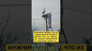 В этом мире много хороших людей🫶Многие из них на моём канале️Они любят животных,людей,мир.#добро