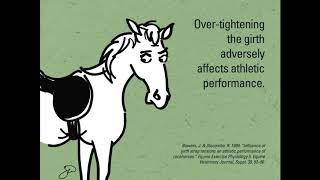 7 Facts You Didn't Know About Saddle Girths for Horses