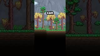 Secret Wolf Pet Easter Egg in Terraria if you use this name  #terraria  #terrariatips