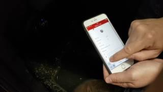 EZ-ELD IOS BT Pairing and Connection