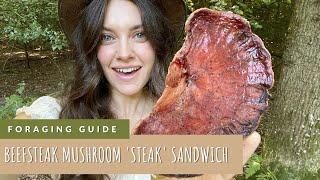 Beefsteak Mushrooms | Forage For Mushrooms + Make a Mushroom 'Steak' Sandwich