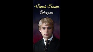 Побирушка - Сергей Есенин (читает Денис Семенов) #shorts