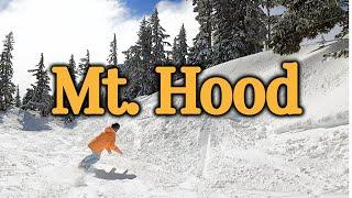 Our Old Stomping Grounds - Mt. Hood Timberline