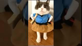 Вот эта манюничка