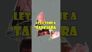 Ark Tapejara