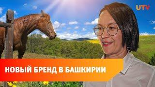 Башкирская лошадь стала брендом. Как отличить поддельную?