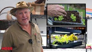 National Indoor Gardening Week - Vegetables