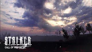 Прошел S.T.A.L.K.E.R. Call of Pripyat на 100%