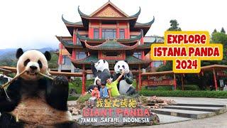 TAMAN SAFARI BOGOR 2024 | EXPLORE ISTANA PANDA | TAMAN SAFARI INDONESIA ‼️