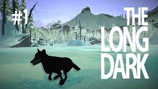 SCARED WOLF! - THE LONG DARK (EP.1)