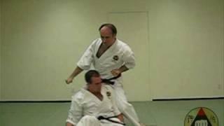 Okinawa Shorin-ryu Karate: Assorted Kata Bunkai (clip 3)