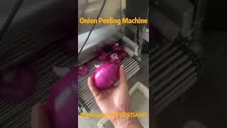 Efficient Onion Peeling Machine: Peeling Rate of 98% Or More