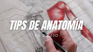 Trucos para dibujar ANATOMÍA  | Compilación TikTok