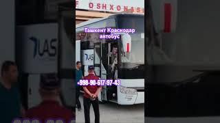 ташкент-краснодар автобус прямой рейс давлат рейслари без посредника #tashkent #krasnodar #avtobus