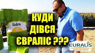 Белла больше не Евралис? какой будет мешок обзор подсолнечника #Lidea #ЛИДЕА