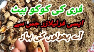 Make Groundnuts shell powerfull organic fertilizer at home & 4 ways use peanut shell for gardening