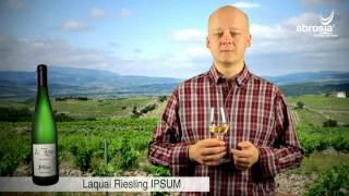 Wein Verkostung: Laquai Riesling trocken 'IPSUM' - ebrosia Wein Shop