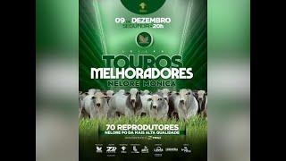 Leilão Touros Melhoradores Nelore Mônica